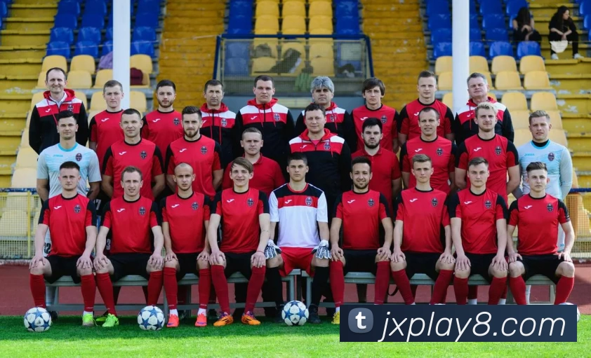 金星娱乐官网服务体系