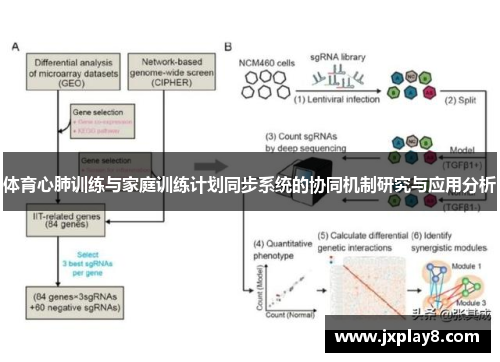 体育心肺训练与家庭训练计划同步系统的协同机制研究与应用分析